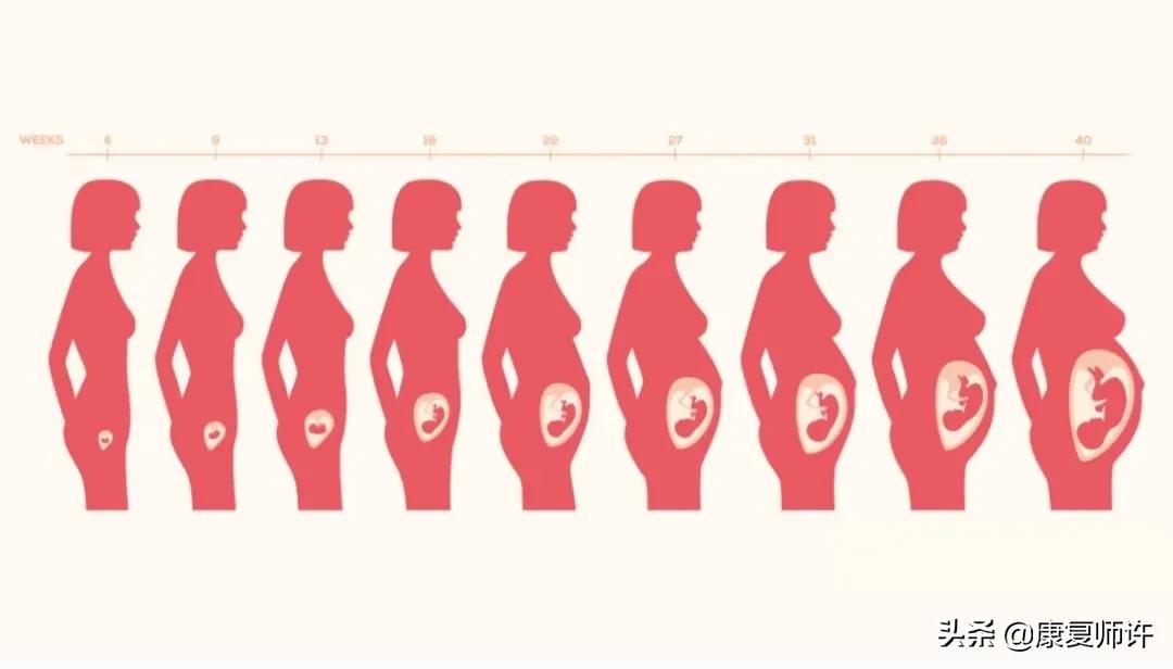 产后腹直肌分离恢复瘦肚子训练,产后腹直肌分离恢复的最佳方法