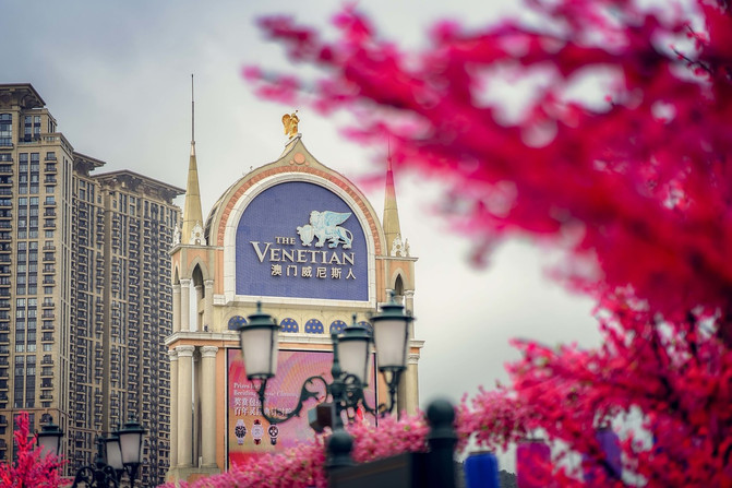 果小姐的慢生活全集,果小姐的慢生活完整版