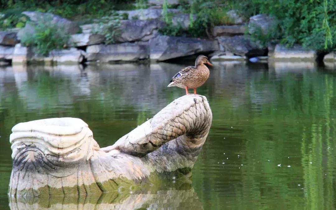 北京有哪些美丽的景点,北京有一座美丽的城
