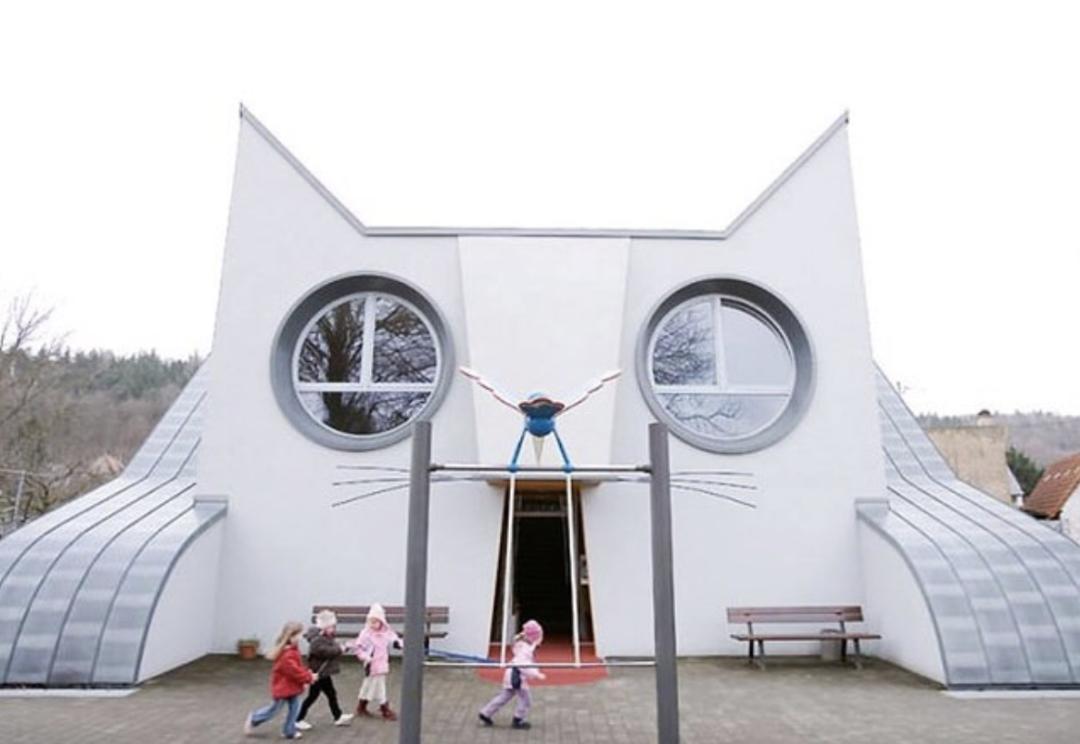 看了就想抱！这些“萌宠”温柔世界