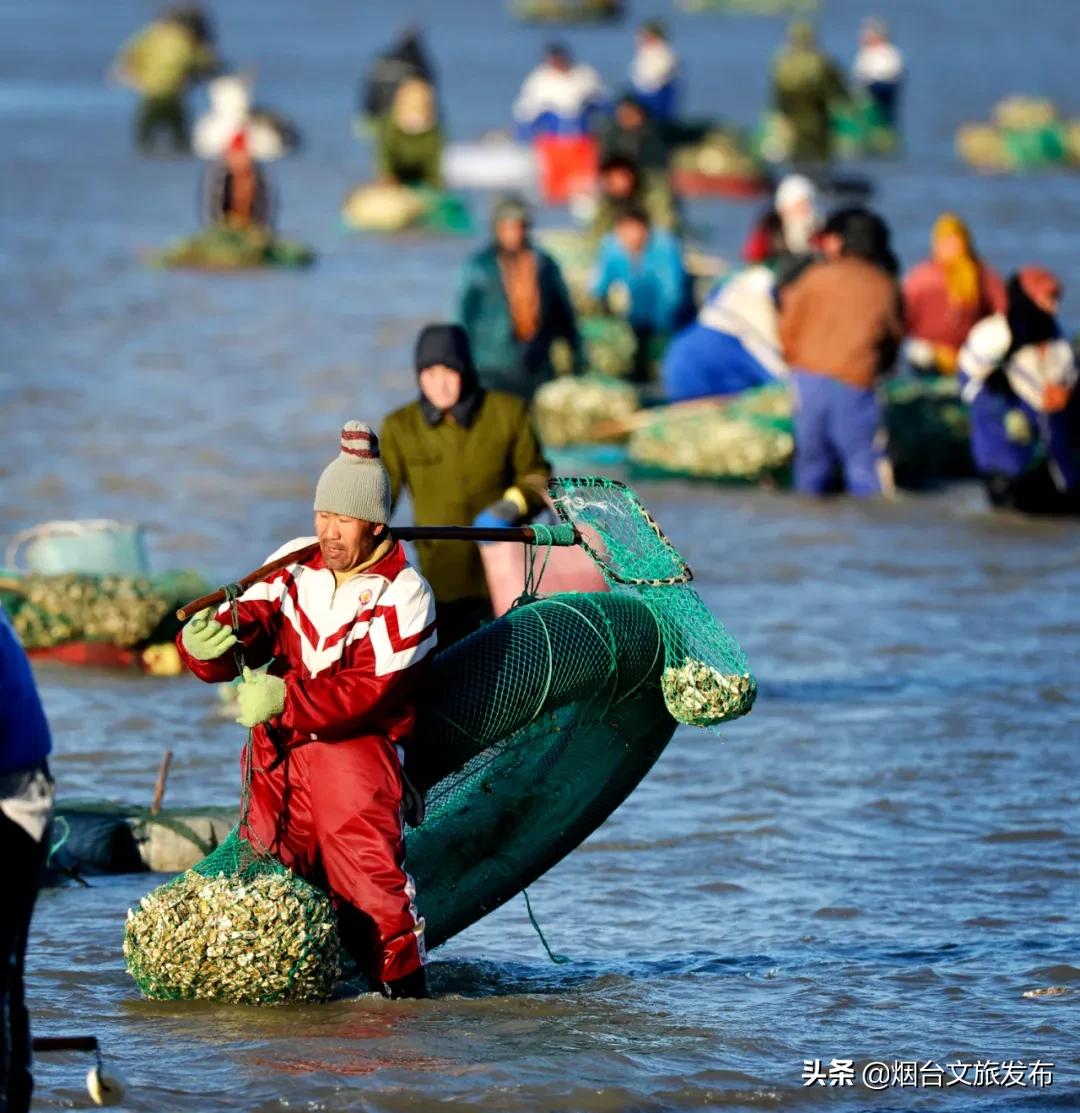 蓬莱美味,冬天蓬莱好吃的