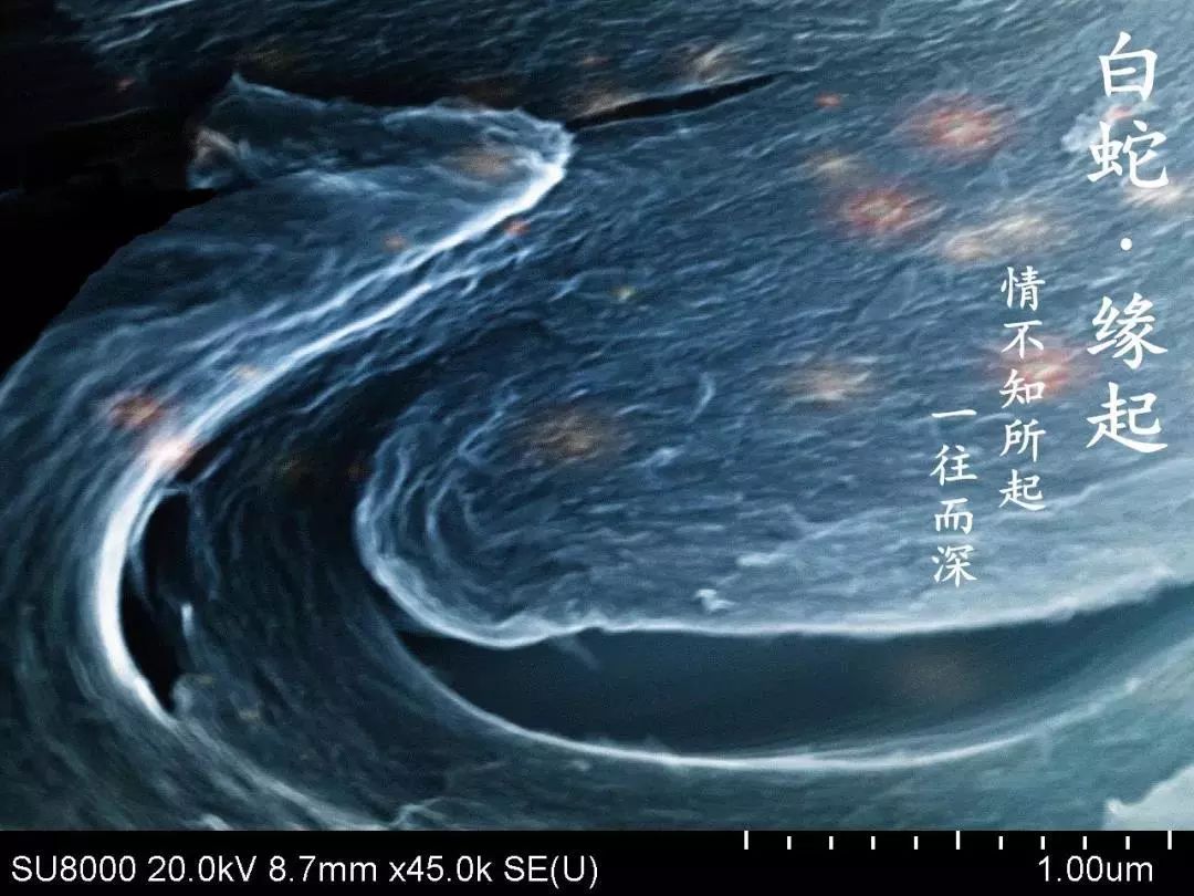 绉戠爺澹佺焊,绉戠爺浜虹殑鏂板勾澹佺焊