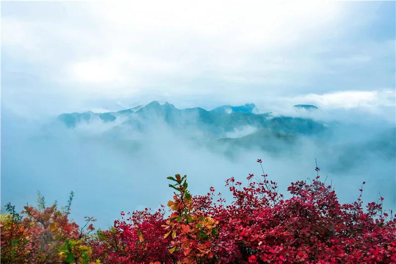 国庆运城游玩攻略,国庆运城旅游攻略