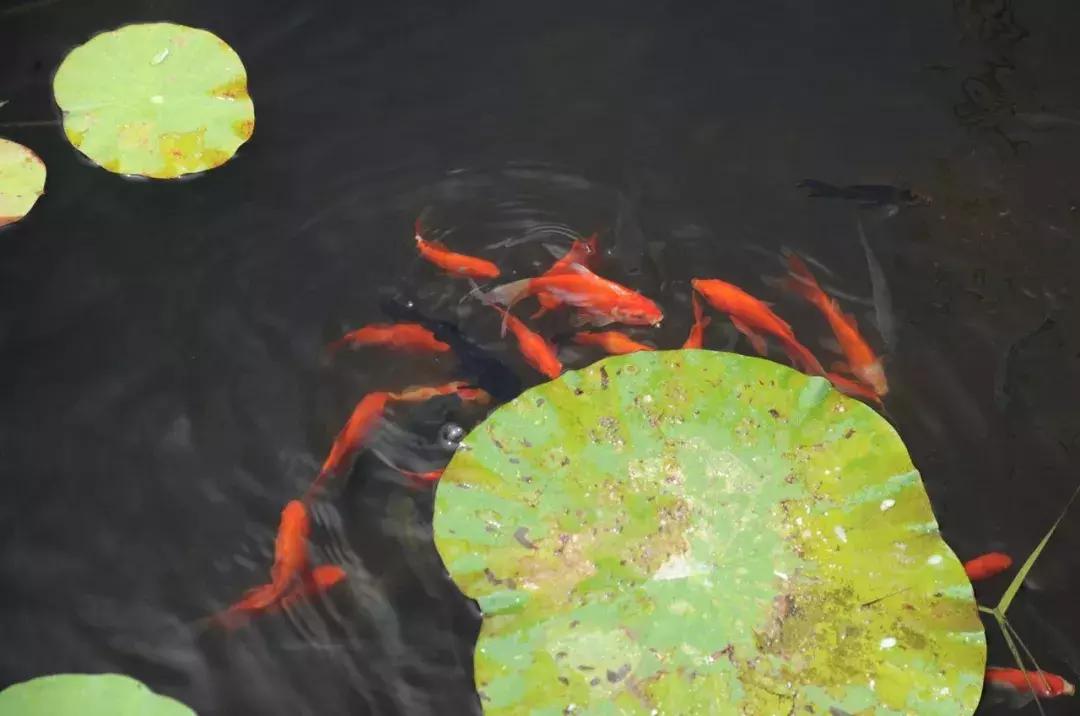 威海游览,威海玩美攻略潮玩街区