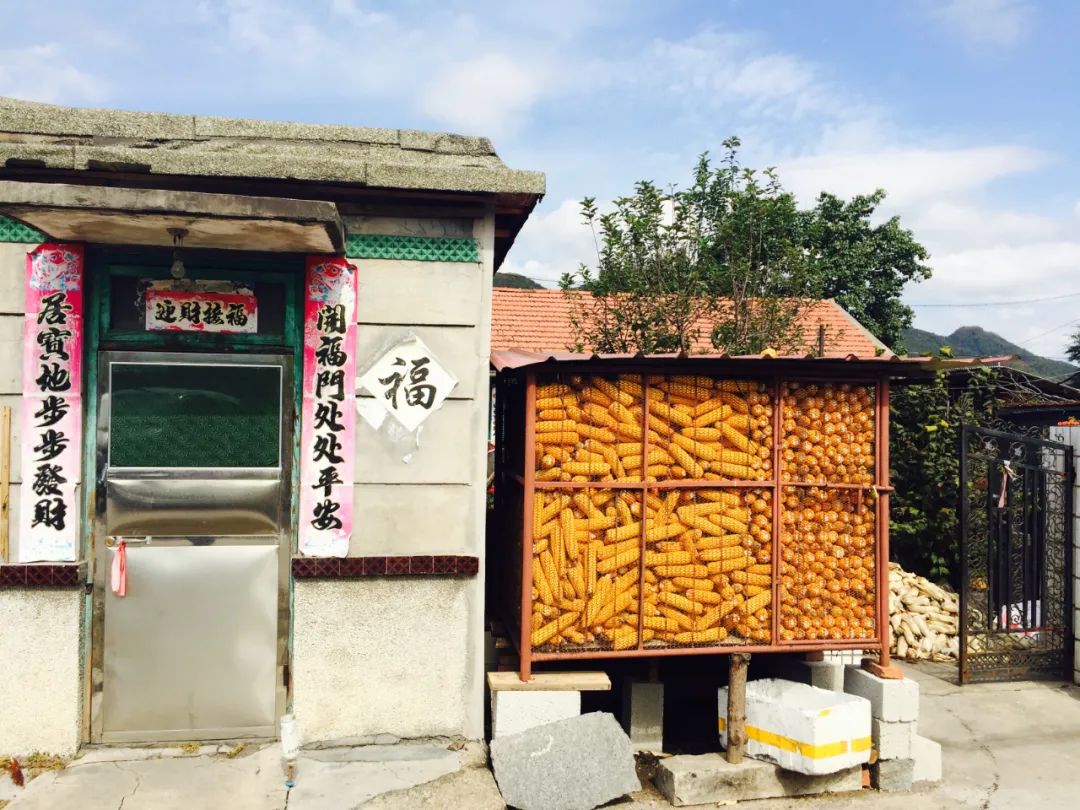 入秋女孩要多吃什么,女人入冬该吃什么