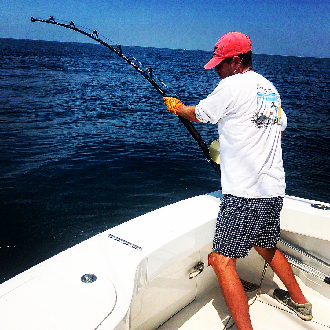 吃货看过来吃葡萄,吃货看过来美食也能开花