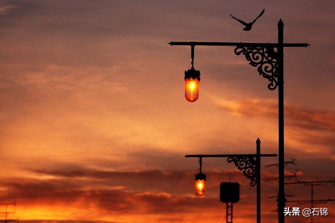 十句令人伤感的诗句,最让人忧伤的古诗句