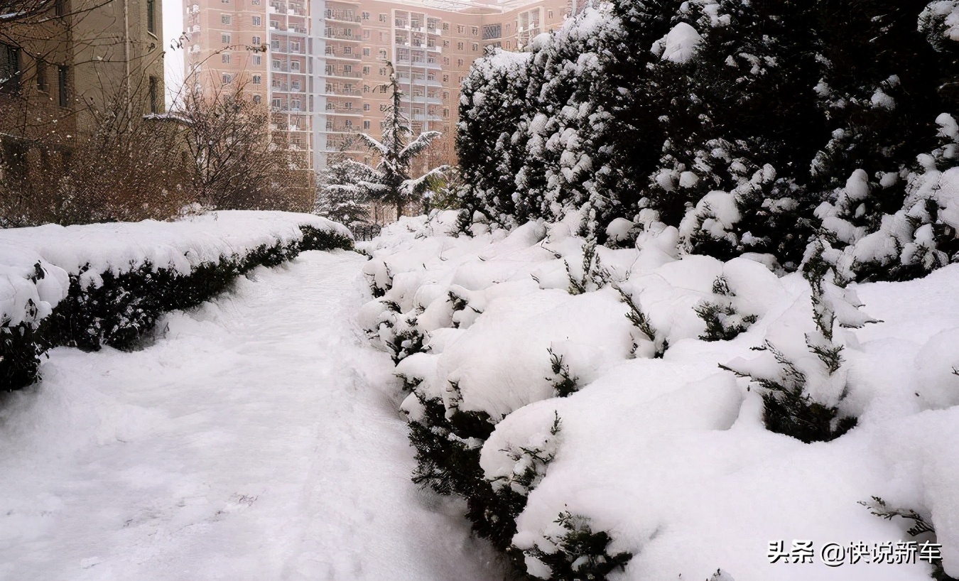 缁忔祹瀹炵敤鐨勫鐢ㄨ溅瀹濋獜310,閬鎸￠洦鐨勪唬姝ヨ溅瀹濋獜310
