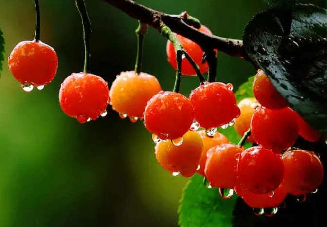 左眼跳财右眼跳灾这个说法准确吗,左眼跳右眼跳的真正含义绝不迷信