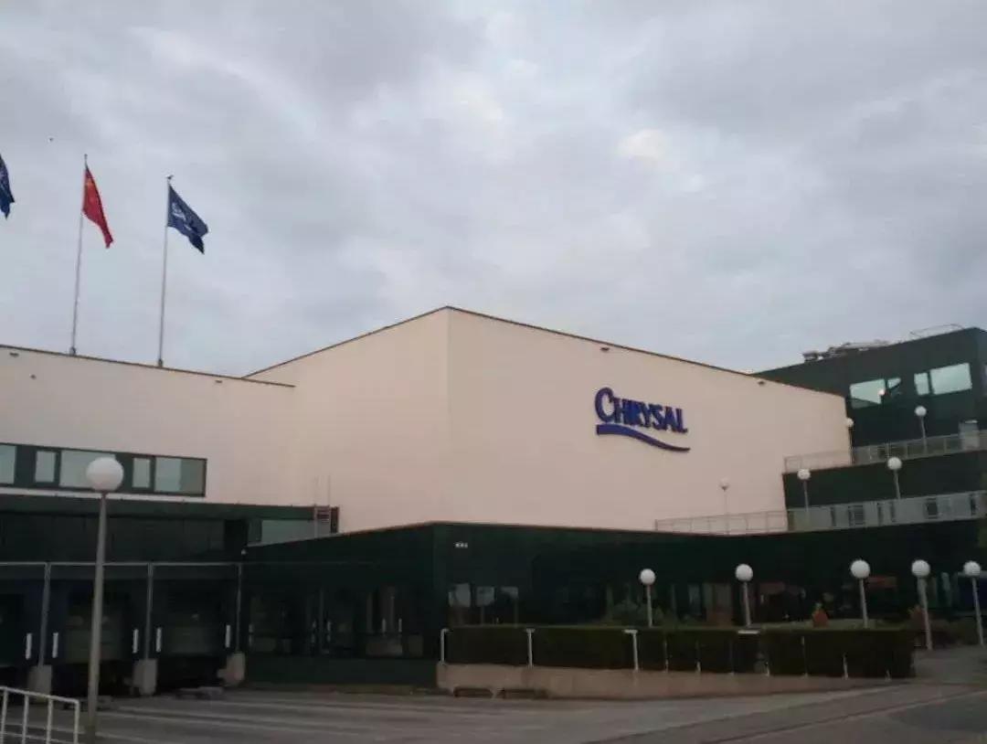 鲜花为什么最爱这一口！｜花呆子的荷兰鲜花游记（二）