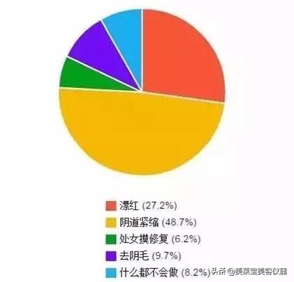 美容紧致仪器,日式美容护理仪器