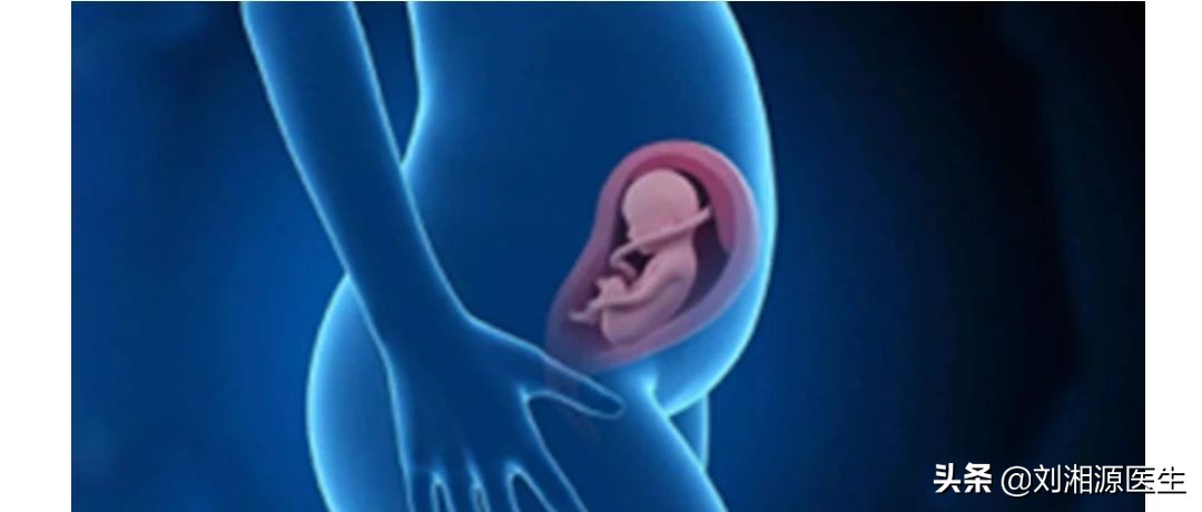 免疫相关不良妊娠答疑解惑,torch五项风疹病毒阳性