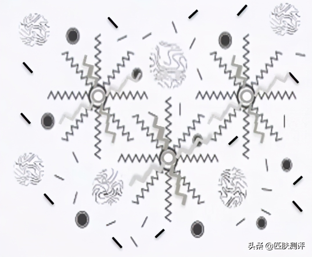 什么牌子的精华抗衰提亮,法国品牌galenic