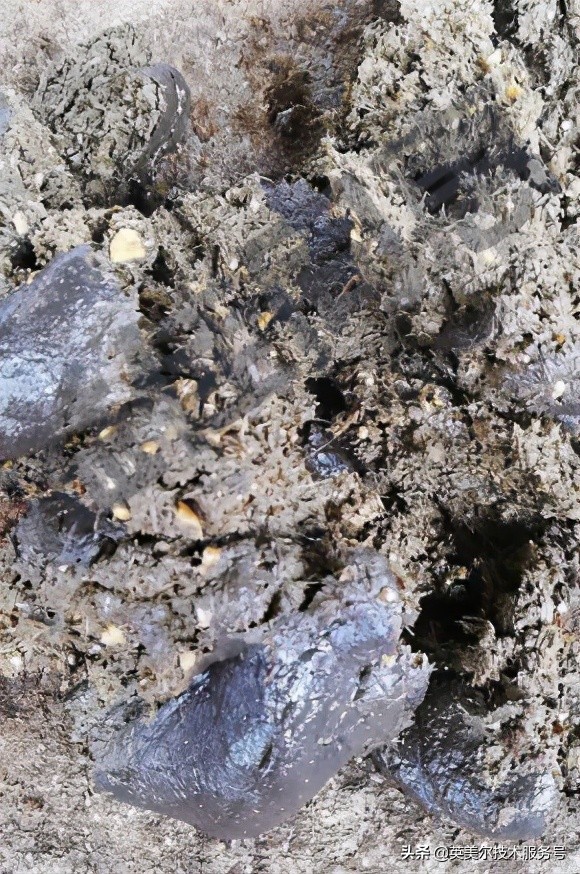 牛拉粪里带料渣是咋回事,牛粪便带料渣用什么药