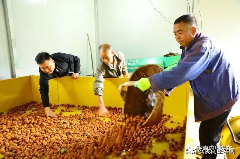 我叫成县,这是我2019年的自拍照