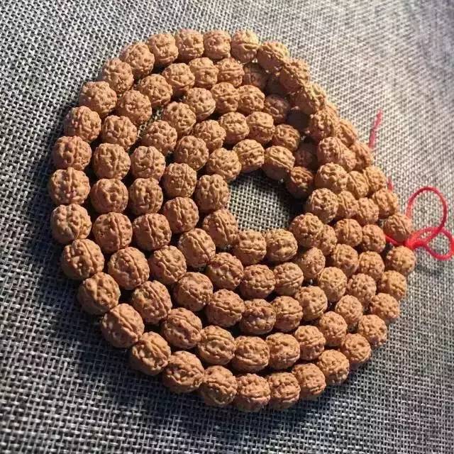 小金刚菩提鉴定视频,小金刚菩提的真假鉴别