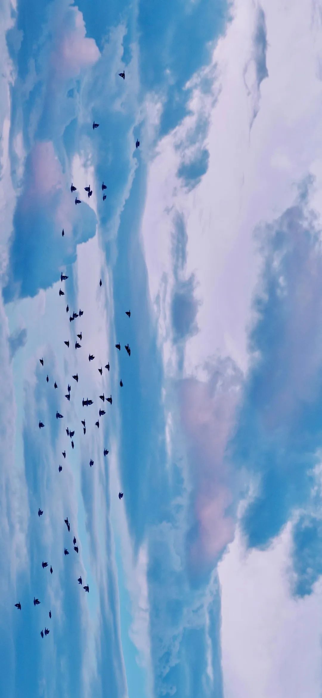 一组超好看的姓氏壁纸请签收,一组超好看壁纸请签收