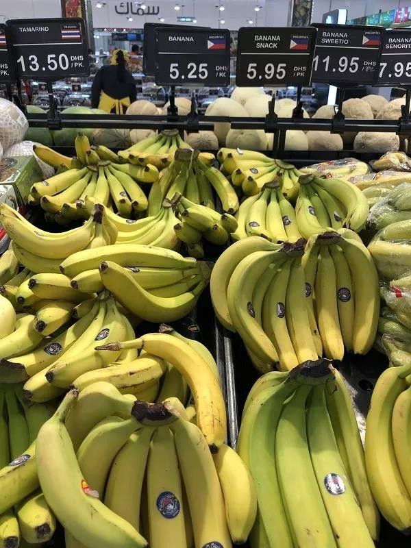 在迪拜生活到底贵不贵,迪拜打车贵不贵