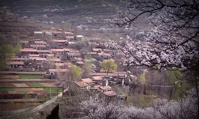 各种相机拍摄技巧视频,单反相机入门教程实用摄影技巧