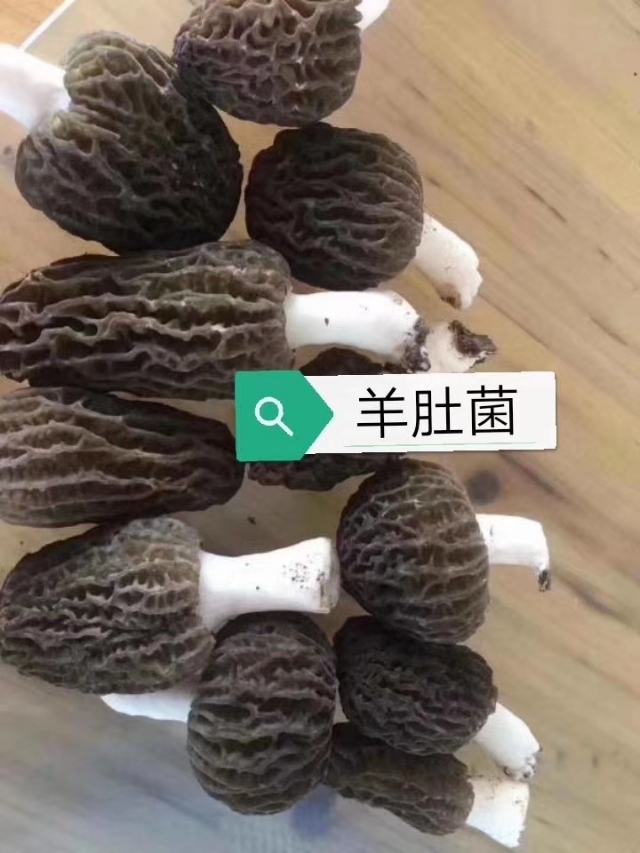 汇泽青蛙养殖前景,青蛙养殖场怎么加盟