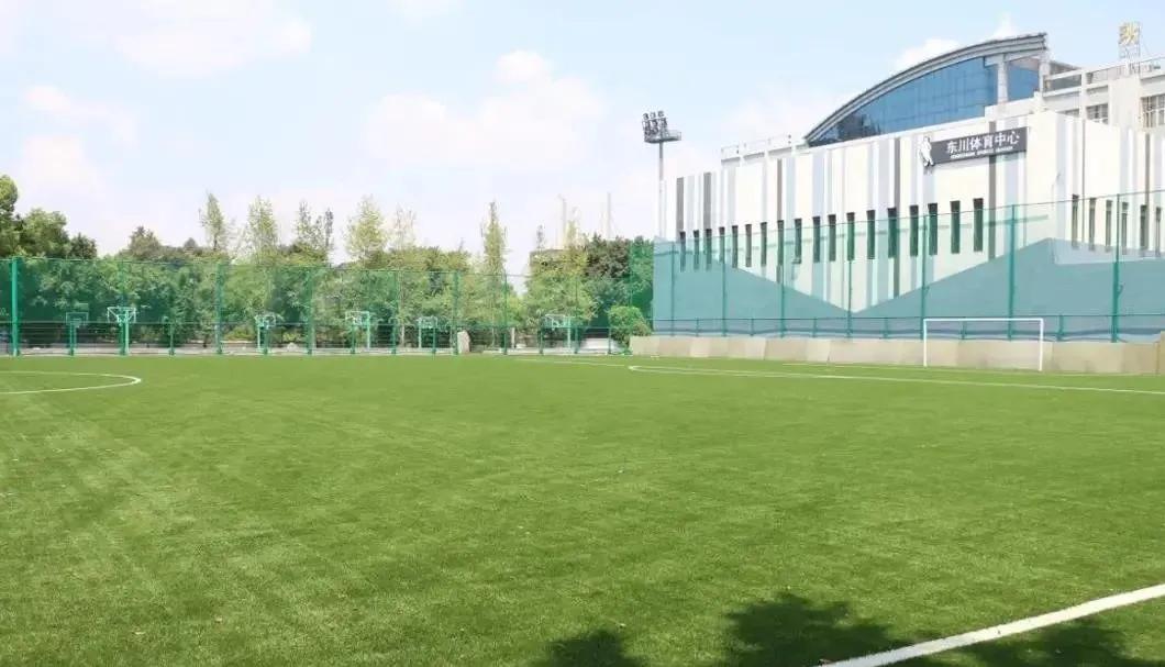 重庆市沙坪坝七中实验中学怎么样,你不可不知