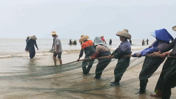吴阳拉大网后续,吴阳直播海鲜