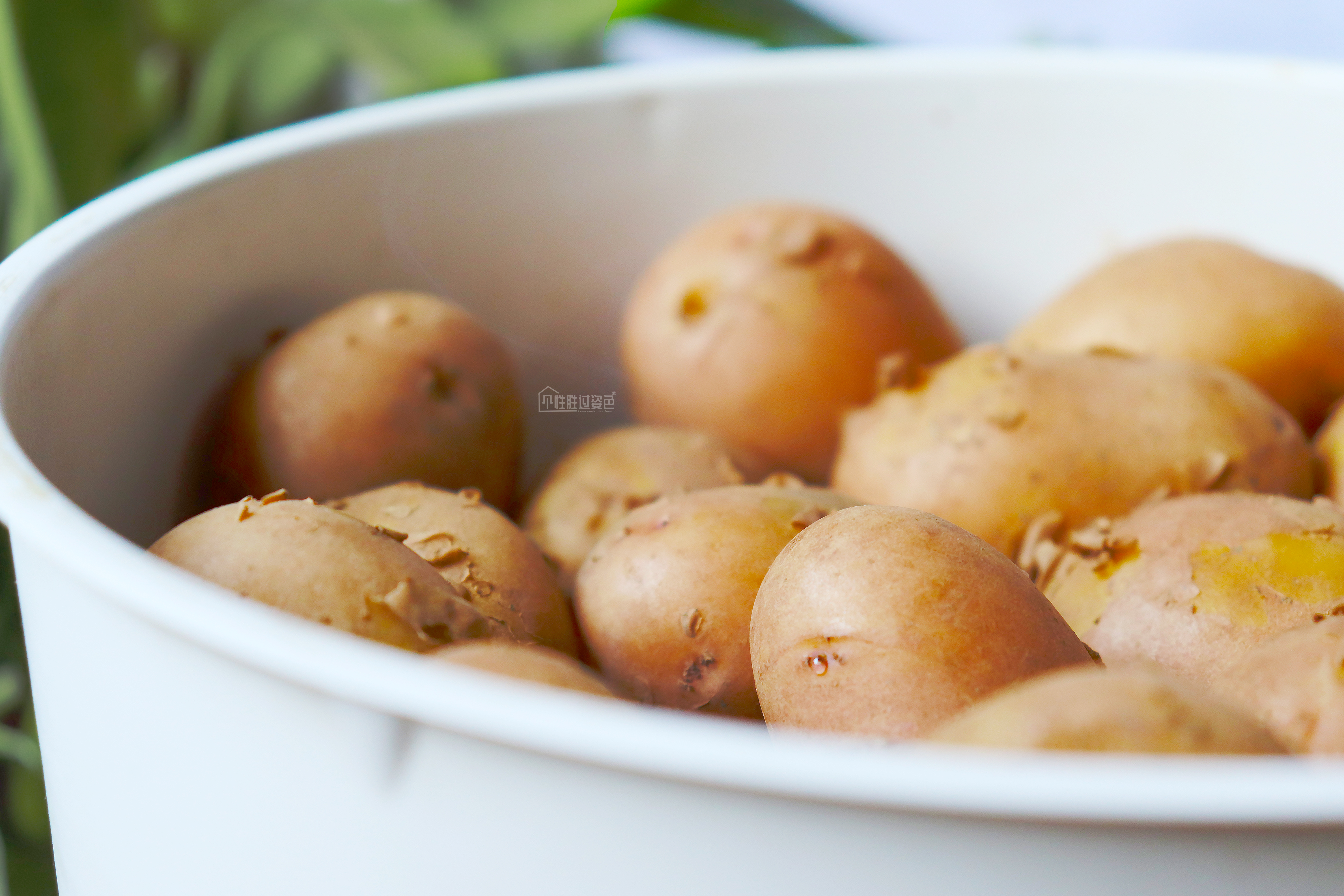 恩施炕土豆的做法,地摊恩施小土豆怎么做