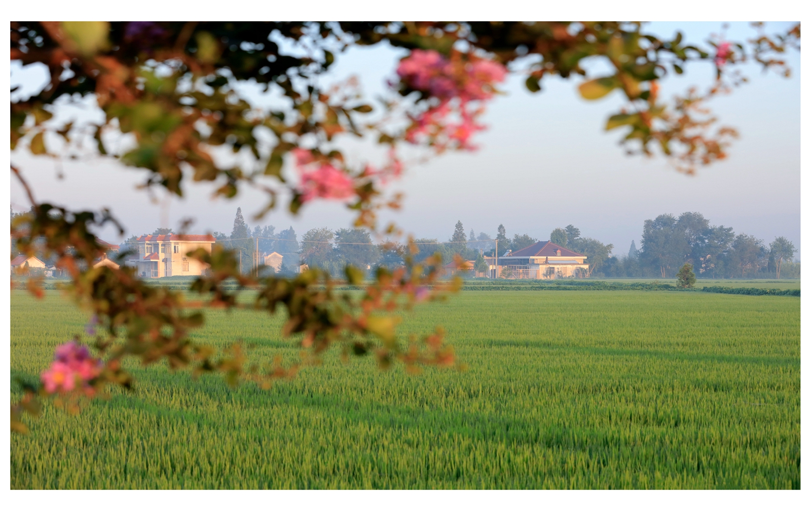 海安市曲塘,江苏海安市曲塘