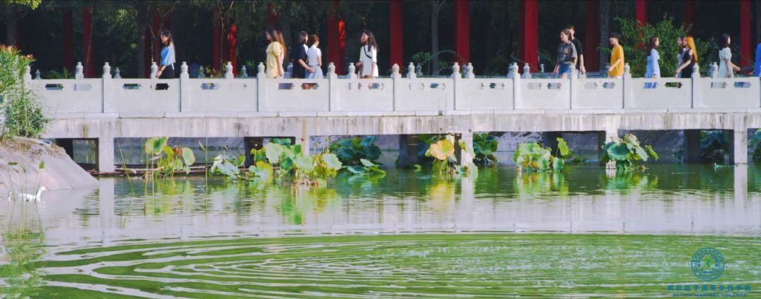 走进医专||按摩师?推拿师?NO!我们是康复治疗师(漫画版)