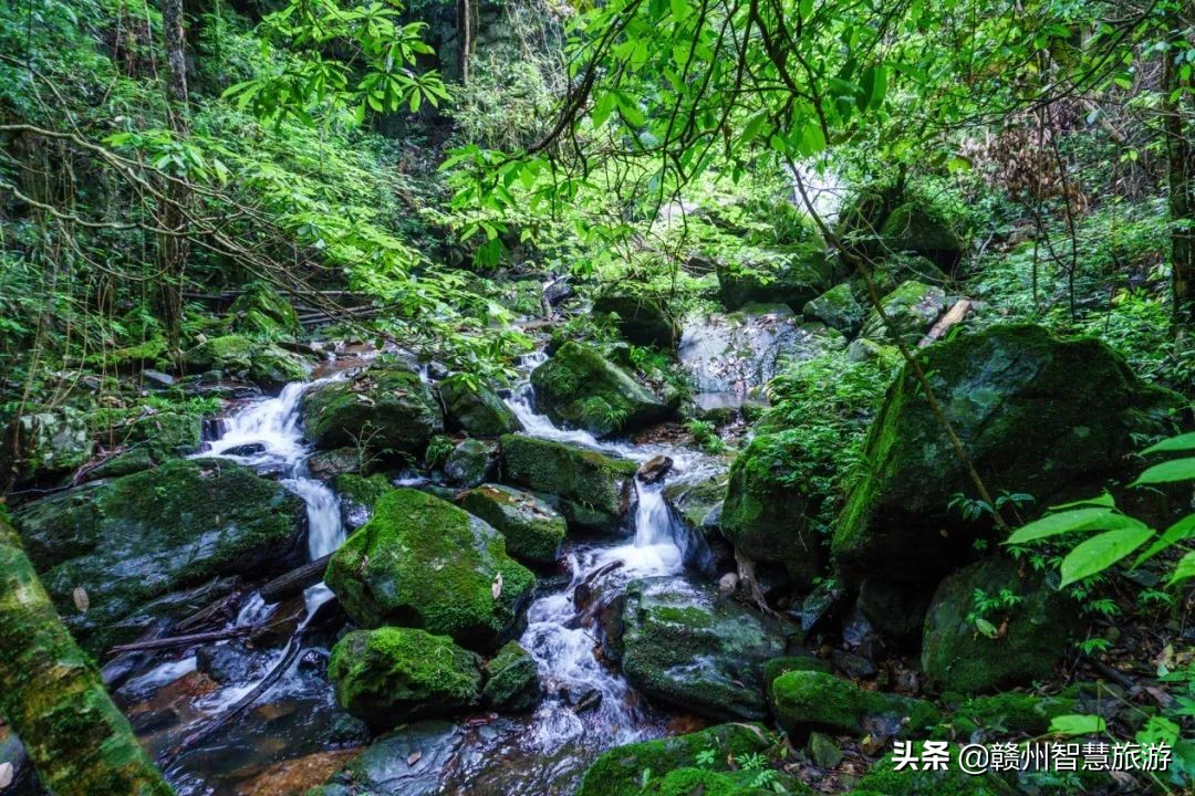 “崇”逢自然，一起“徒”享山水