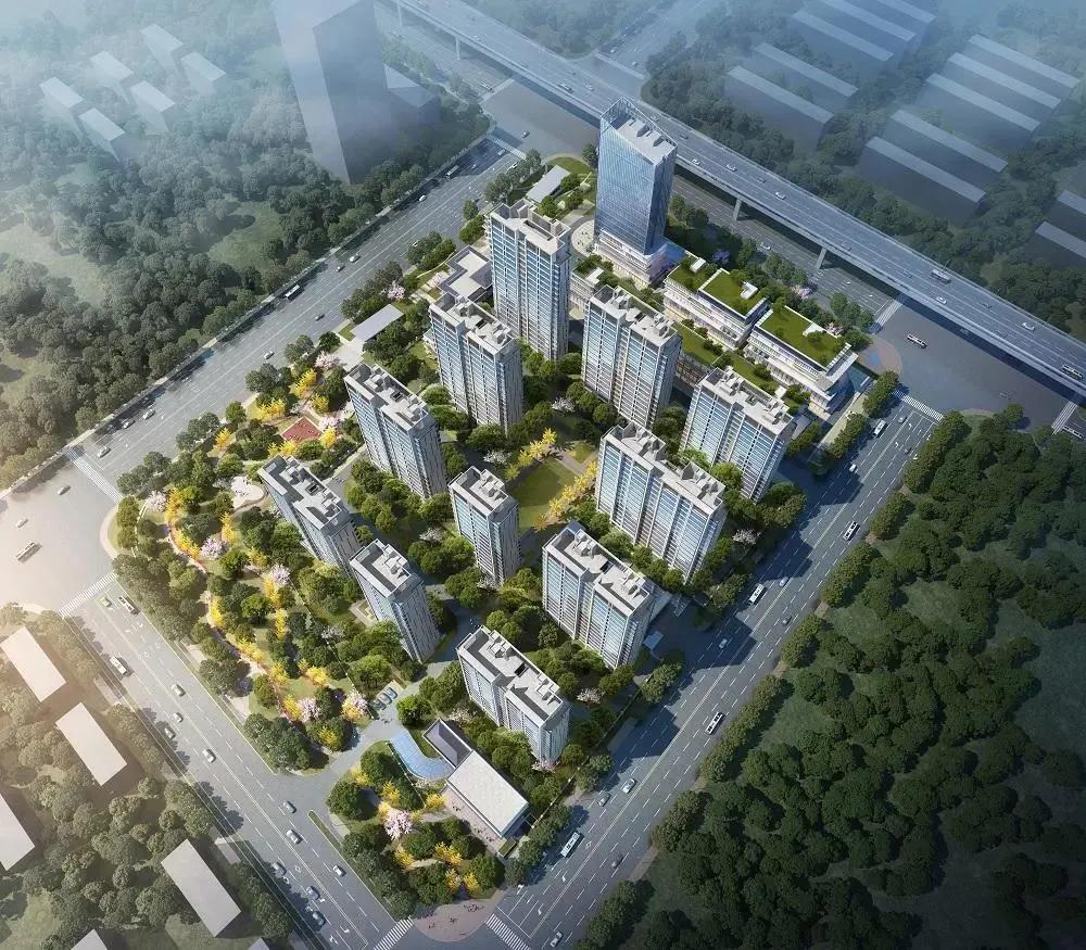 打新必看12月20号新股申购,打新必看3月22日