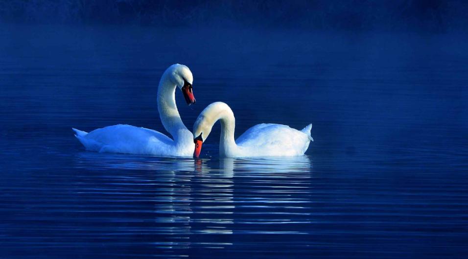 一城仰望至此封藏