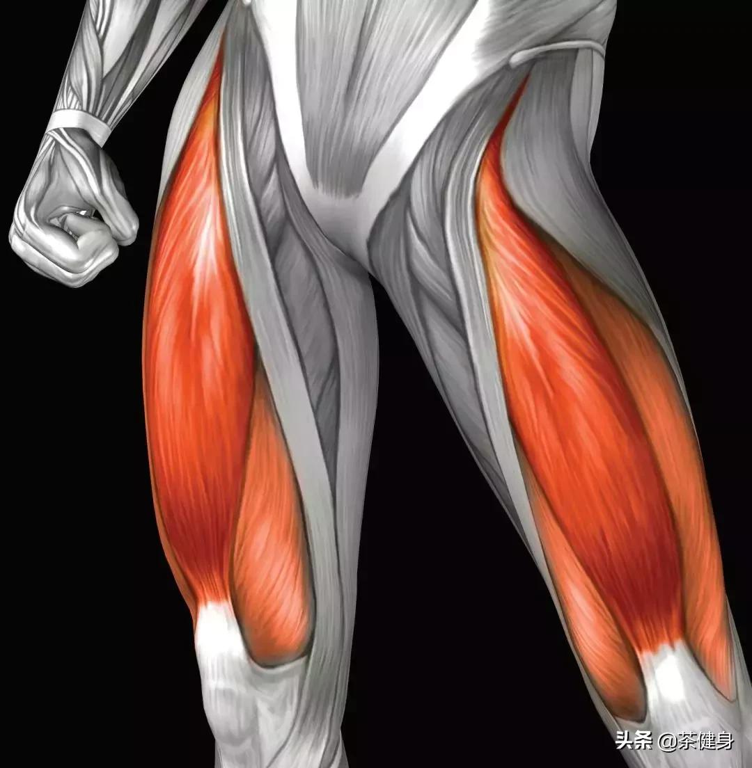 怎样改善腿粗和腿型,大腿前侧赘肉怎么减