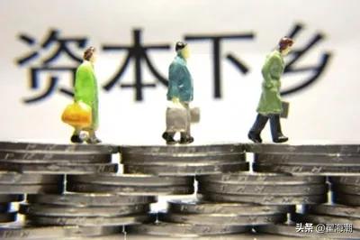 大学生回乡创业对乡村振兴的影响,青年回乡创业助力乡村振兴