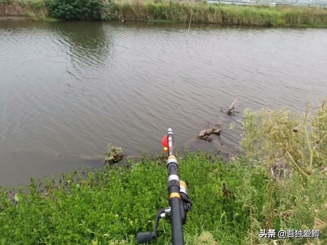 为什么大板鲫吃口很轻,大板鲫一般多少度吃口