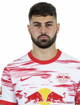 球队基本面在哪里看,德甲足球队名单大全