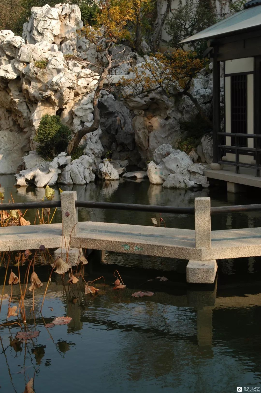 大叔花700万建的花园别墅,太湖石苏州