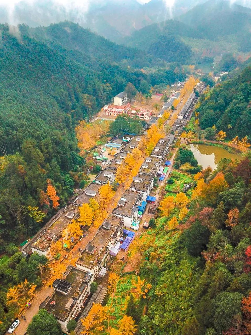 逐梦韶关:粤北这方山水,如此多情!怎可不来?