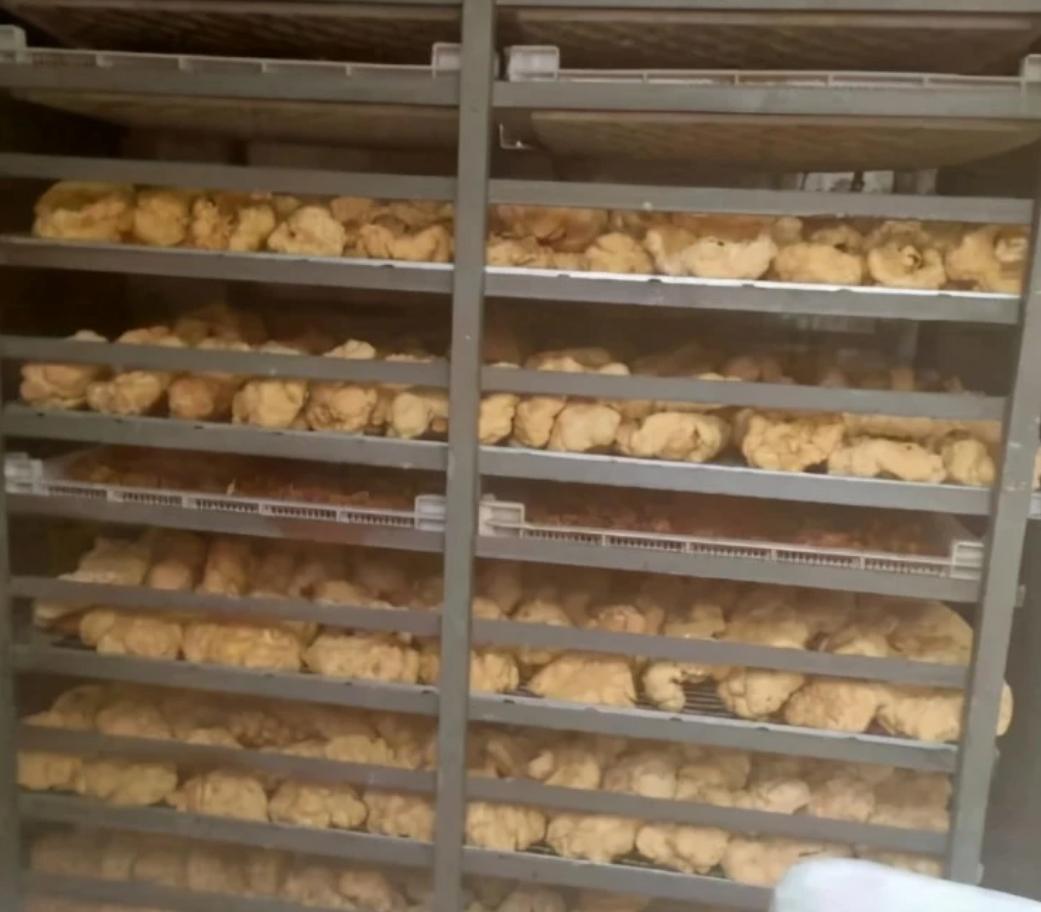 人体胎盘能吃吗有啥作用,胎盘被人吃了会倒霉吗