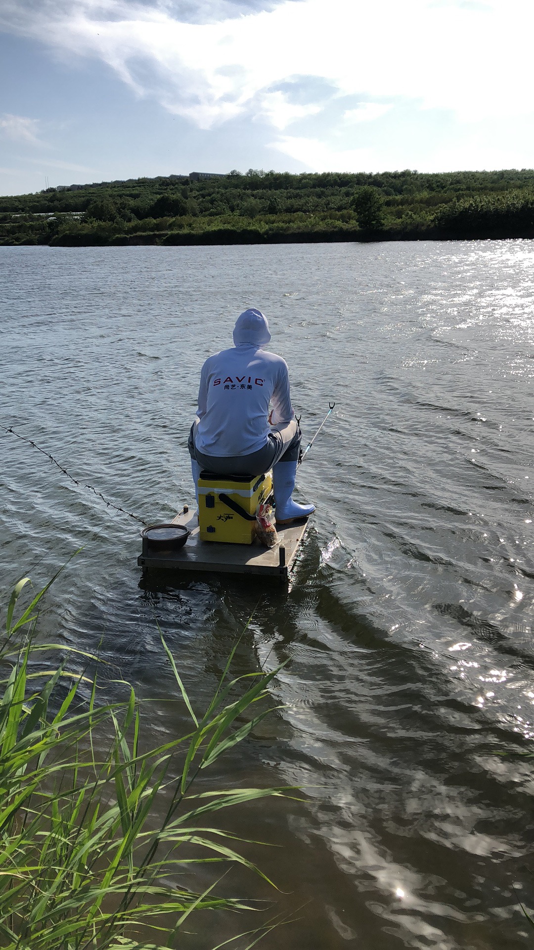 尚艺东美新秀鲤,尚艺东美秀作鲤测评