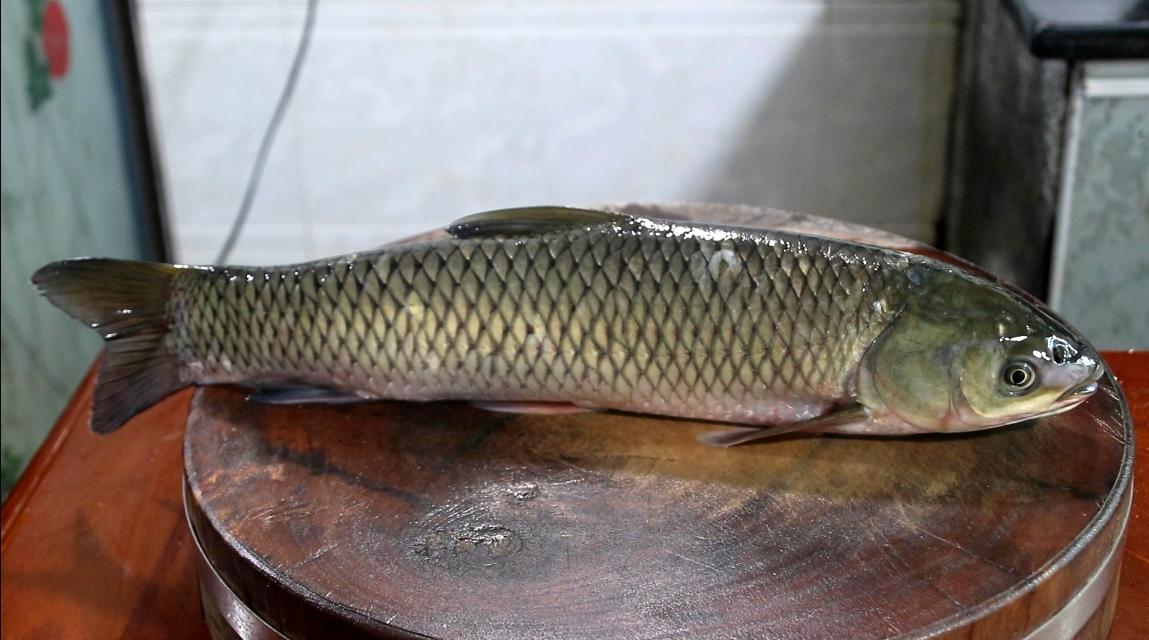 红烧酸甜草鱼的正确方法,草鱼的最简单又好吃做法