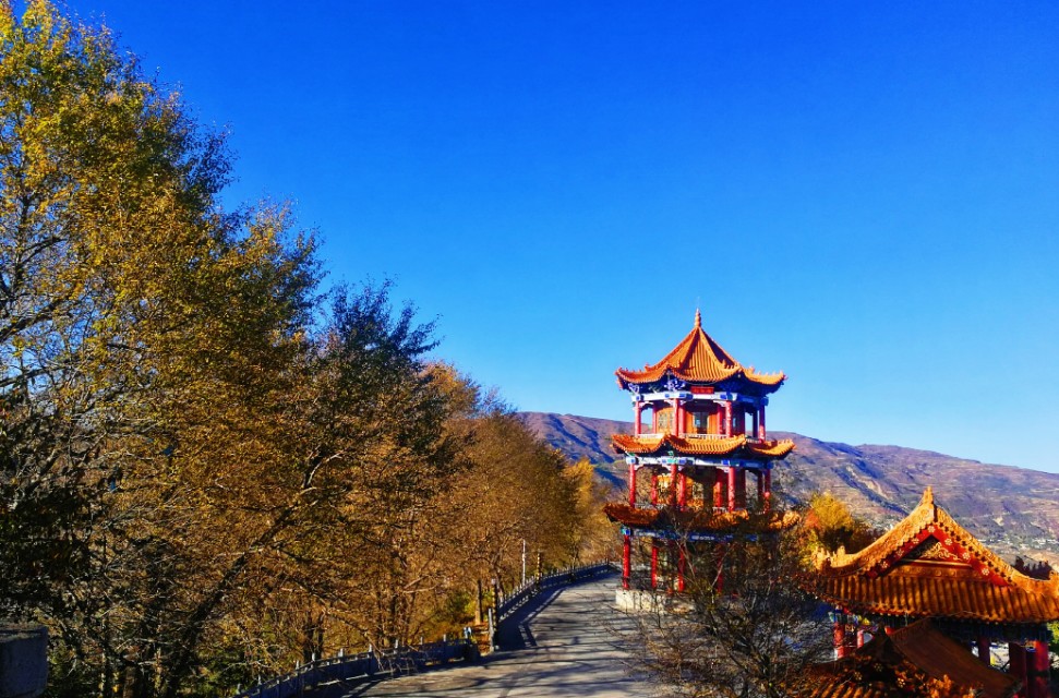 痔疮手术心得感受文章,痔疮手术疼痛难忍的心情说说