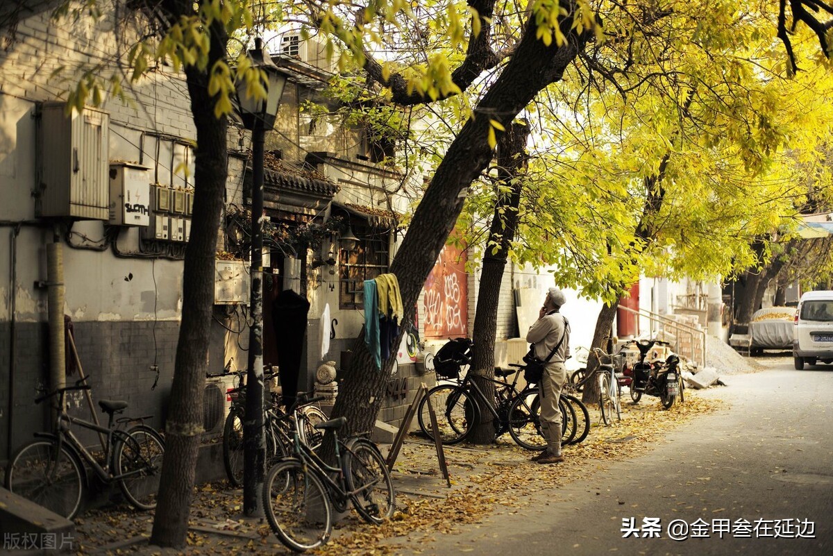 从我，一个东北人的角度，谈北京美食！放宽视界，才真有口福…