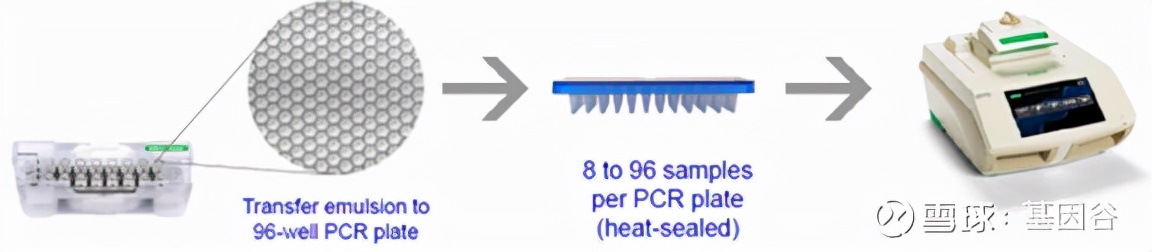 全场硬菜!分子诊断技术全解析