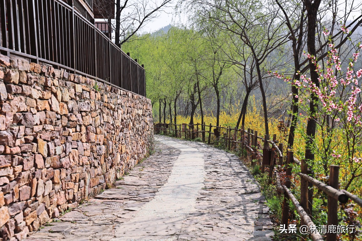 郑州周边最凉爽的避暑胜地是哪里,郑州周边的避暑胜地有哪些