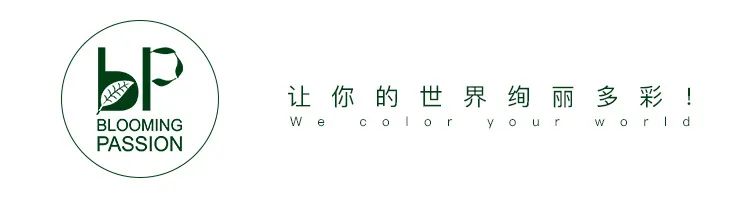 红花草莓托斯卡纳,红花草莓和白花草莓哪个好