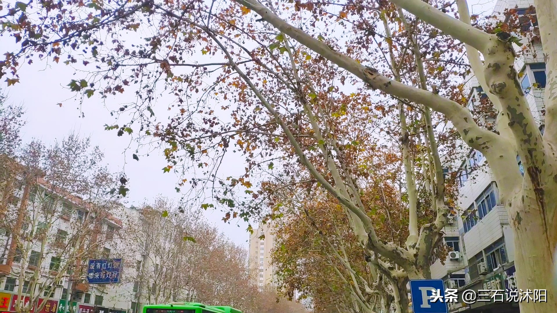 沭阳城市发展图片,沭阳南京路变化