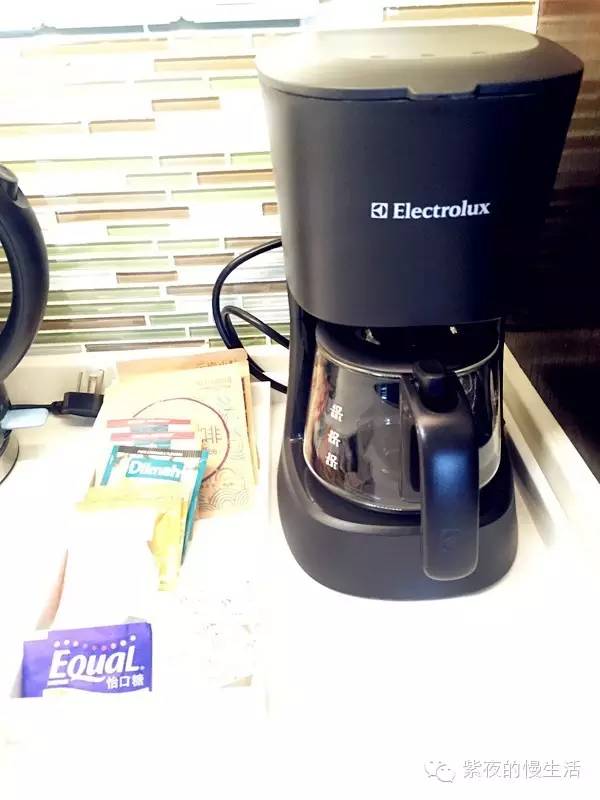 苏州带宠物去的古镇,苏州小众宠物乐园推荐