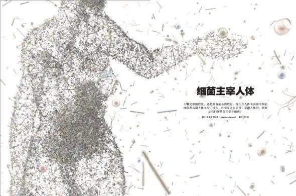 共生微生物是人体看不见的盟友，它们正在消失