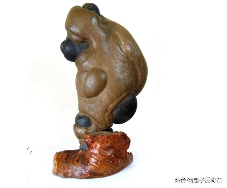 青海有什么玉和奇石,青海石头品种大全青海玉石介绍